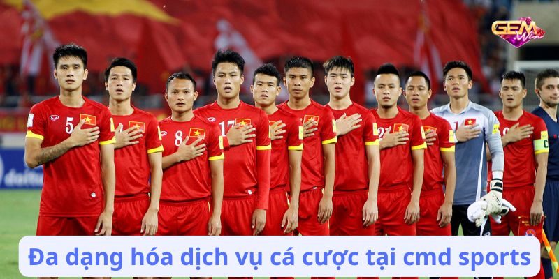 cmd sports 3 Đa dạng hóa dịch vụ cá cược tại cmd sports