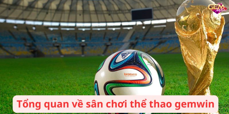 the thao gemwin 1 Tổng quan về sân chơi thể thao gemwin